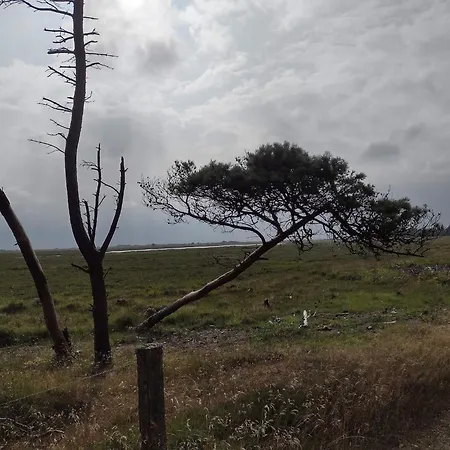 4 Person In Oksbol-by Traum