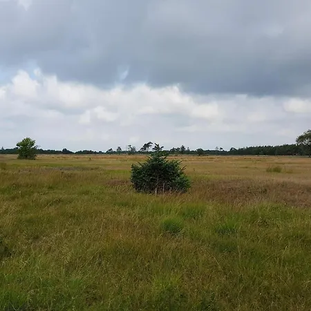 4 Person In Oksbol-by Traum Hébergement de vacances *