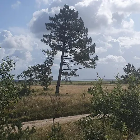 4 Person In Oksbol-by Traum * Oksbøl