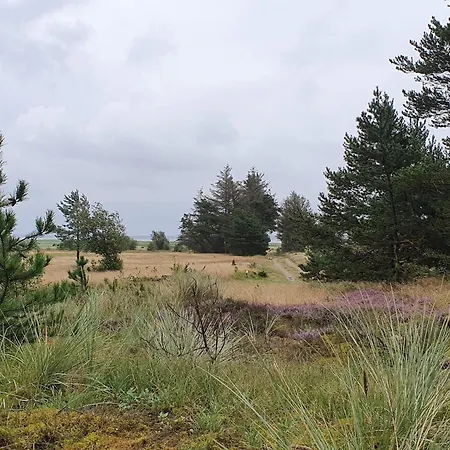 4 Person In Oksbol-by Traum Semesterbostad *