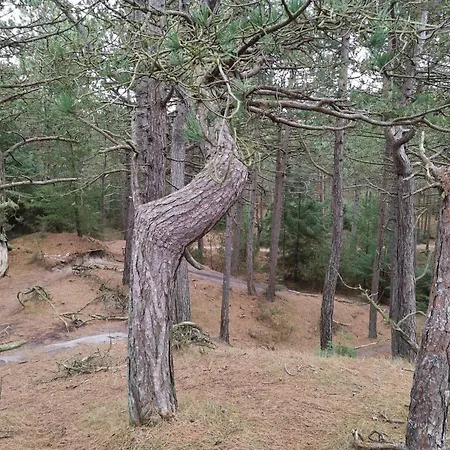 4 Person In Oksbol-by Traum * Oksbøl