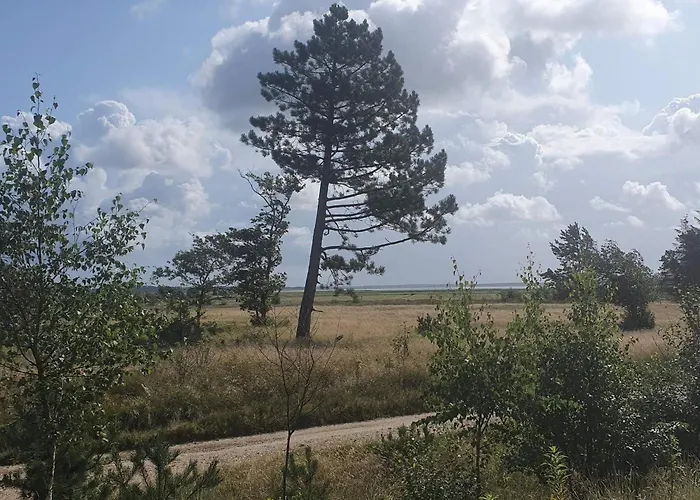 4 Person In Oksbol-by Traum * Oksbøl