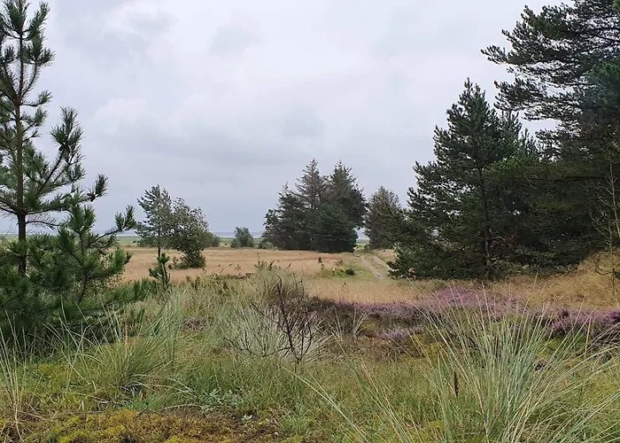 4 Person In Oksbol-by Traum Semesterbostad *