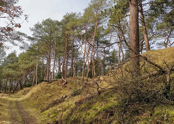 Semesterbostad 4 Person In Oksbol-by Traum *