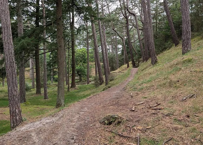 4 Person In Oksbol-by Traum Oksbøl